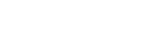 Experience 4.8 Stars